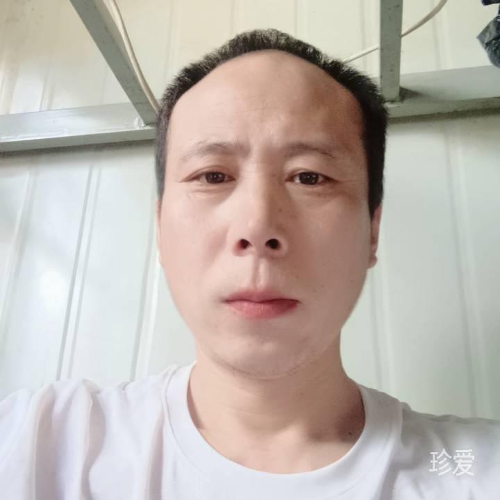 动静两相宜