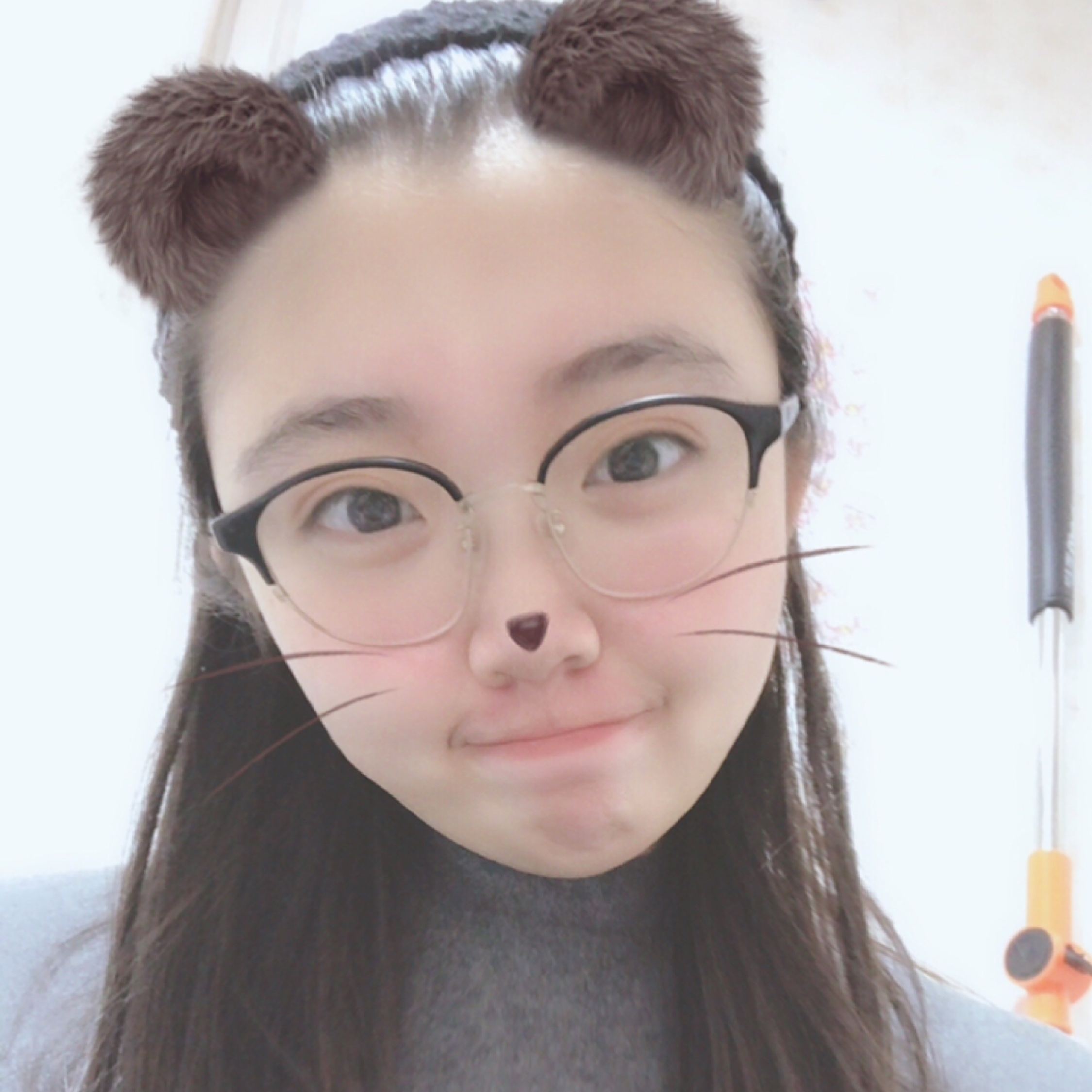 爱吃鸡肉的小黄黄