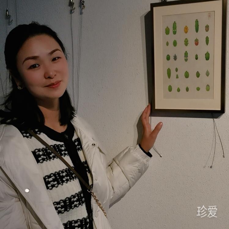 维诺