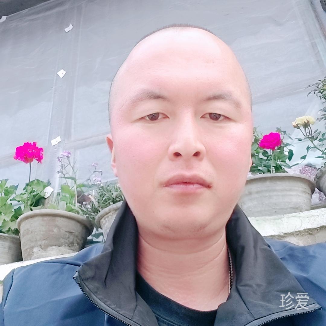 歪果仁儿