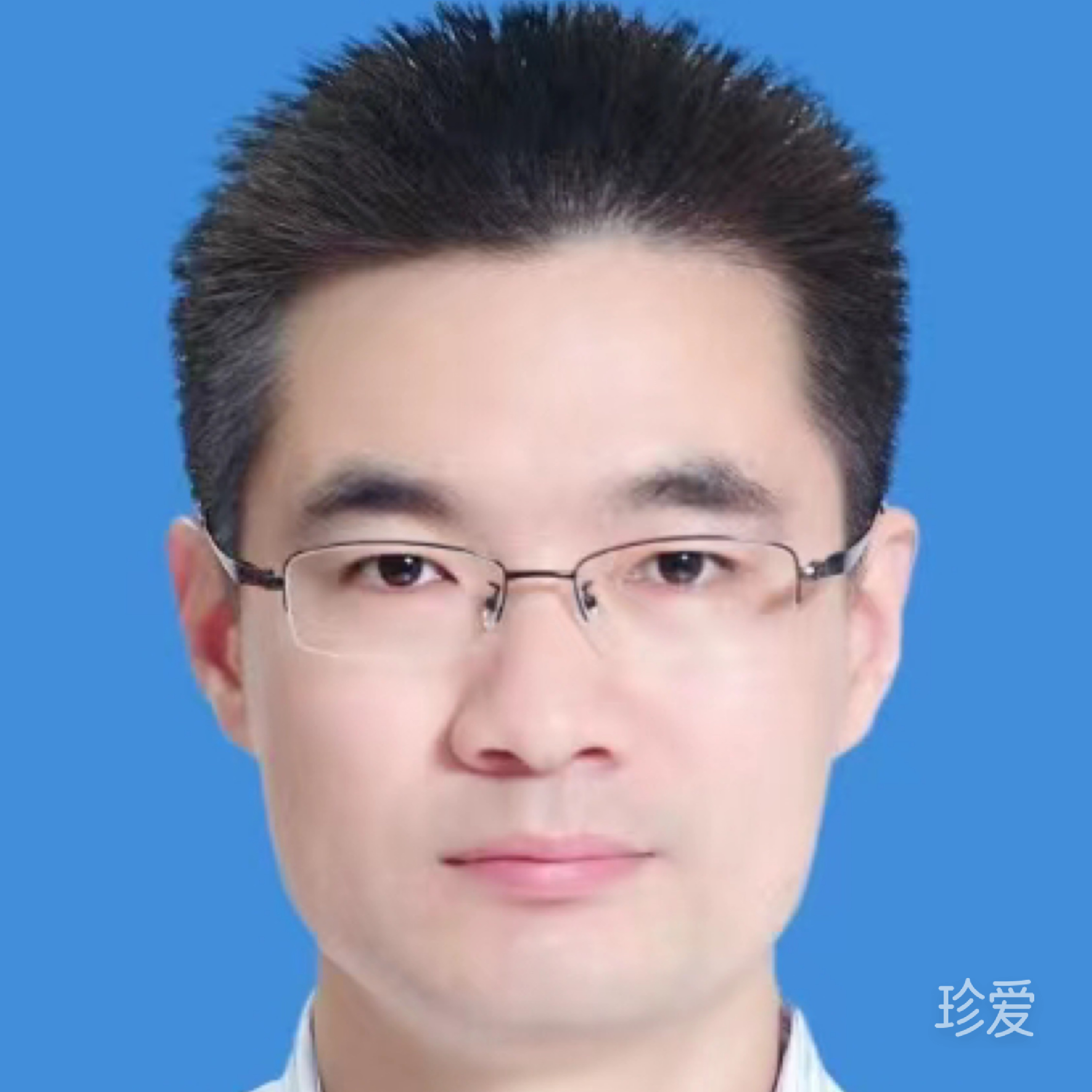 龙猫