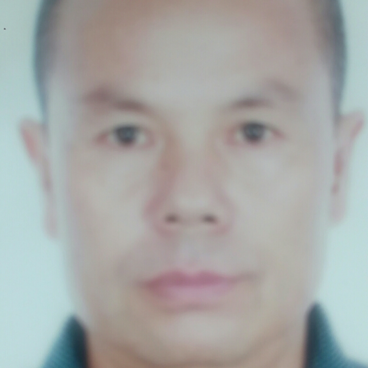 一杯淡淡的清茶