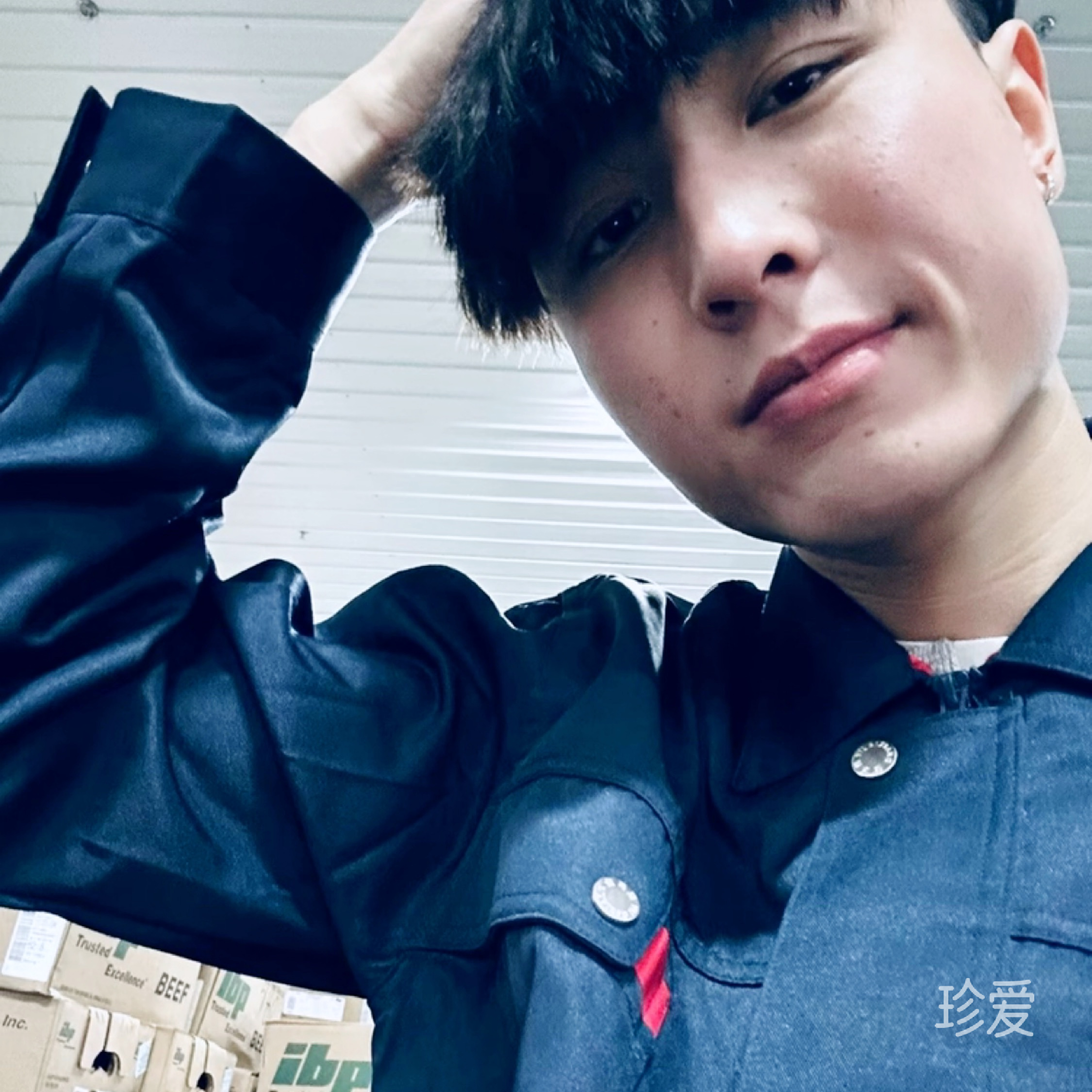 刺猬不畏心