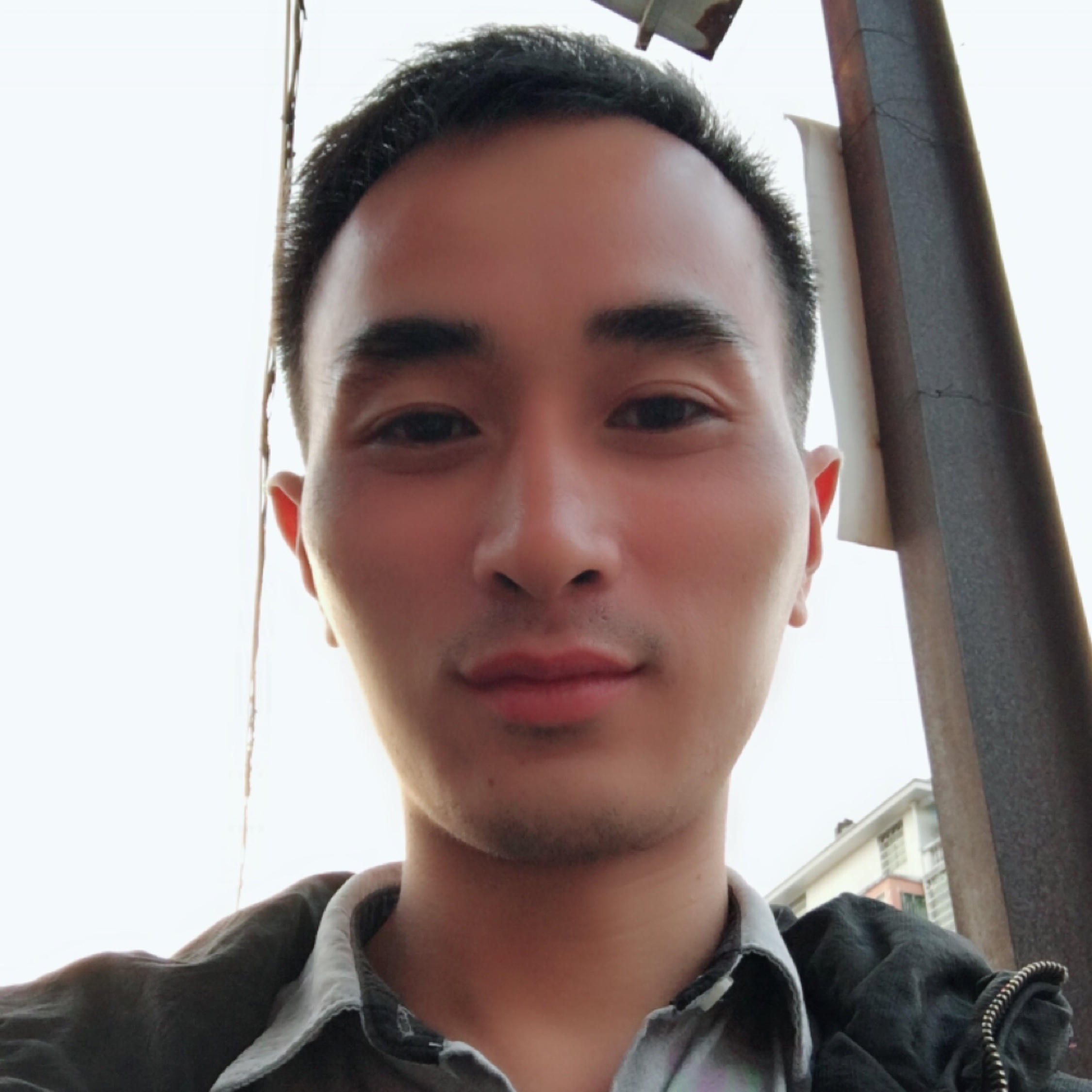 刀槍不入的南瓜