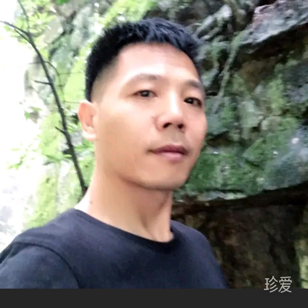 雨夜梧桐