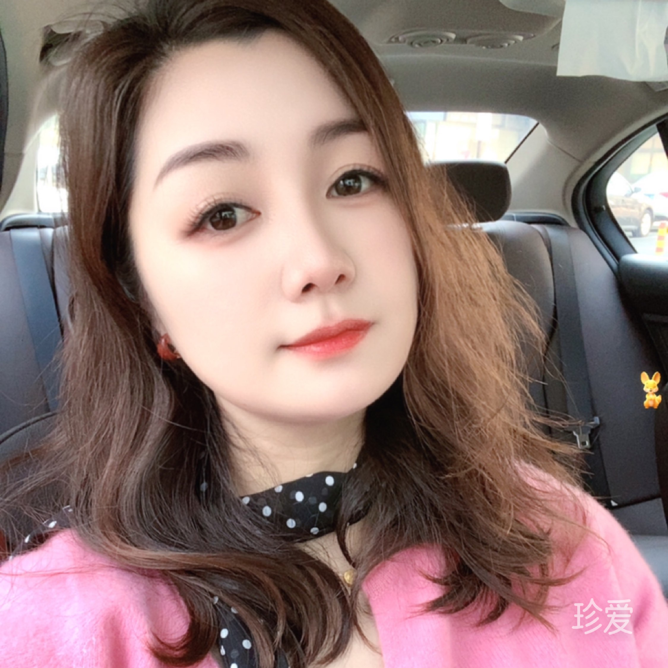 飞儿