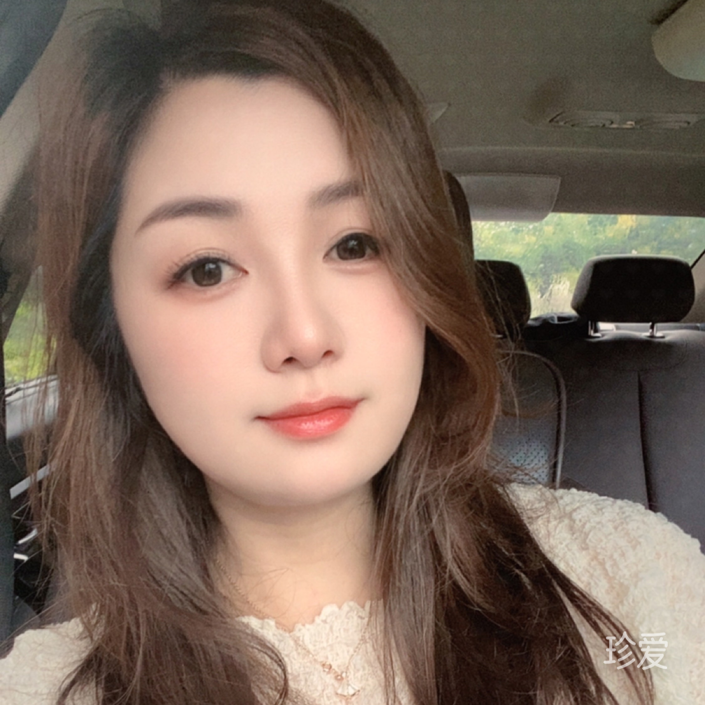 飞儿