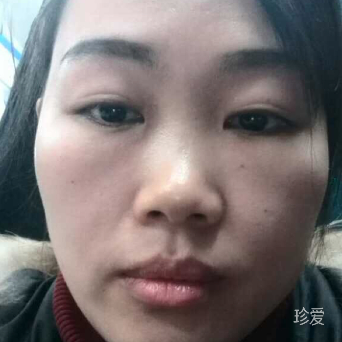 一棵树