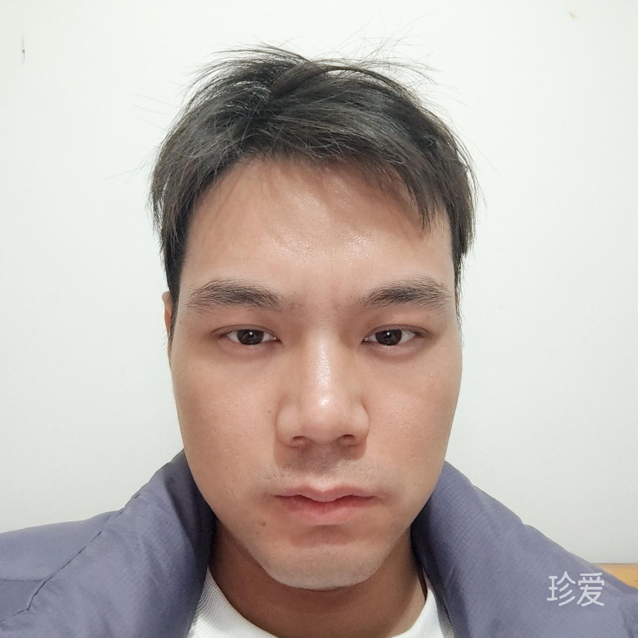 宠猫书生