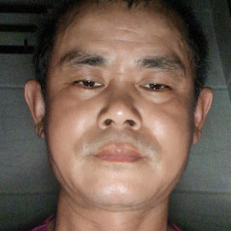 做你的陽光可好