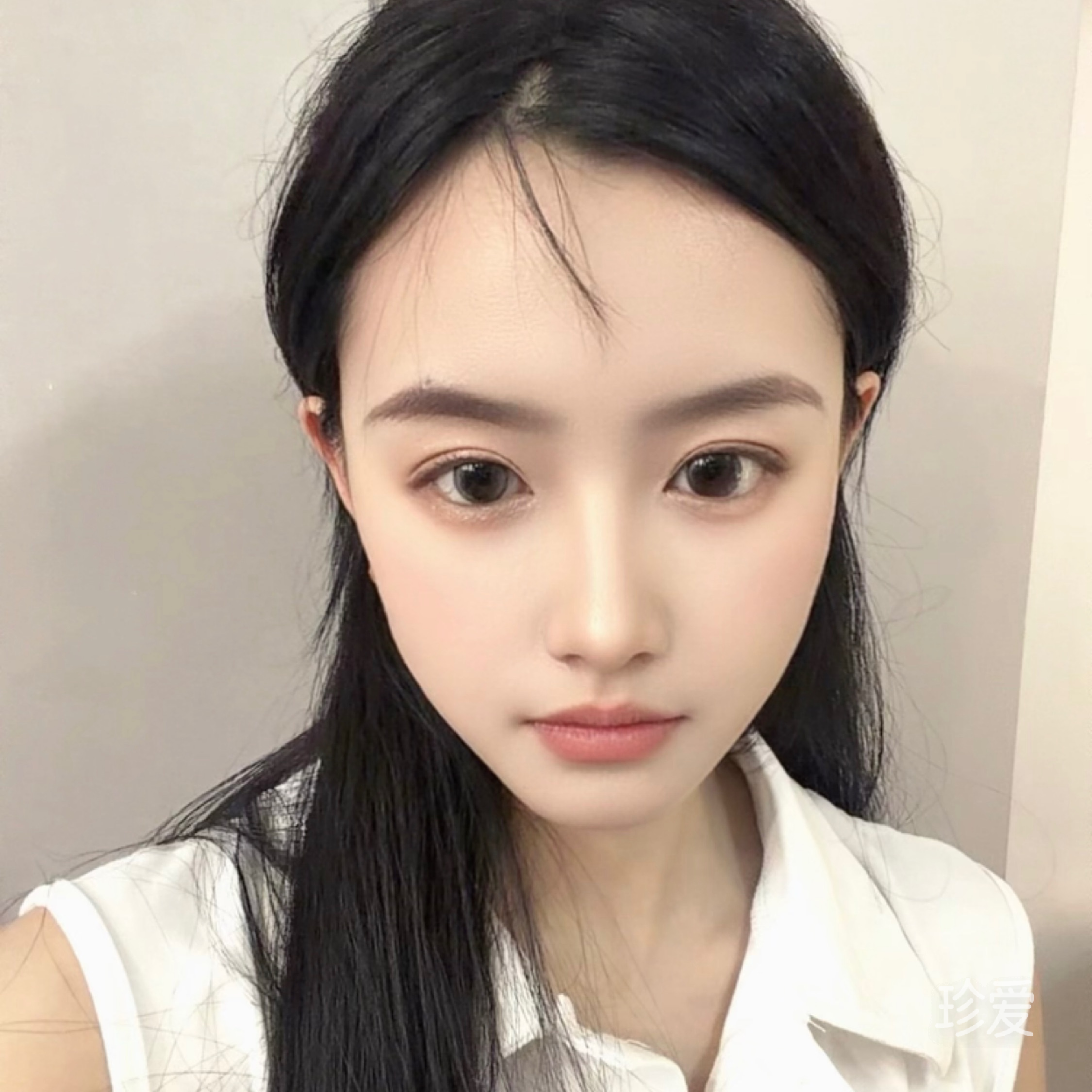 苑子