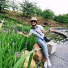 聽(tīng)聞遠(yuǎn)方有個(gè)你