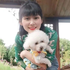 霜林楓葉