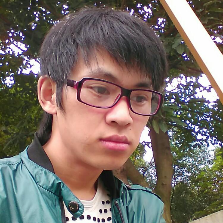 楓林樹下的楓葉