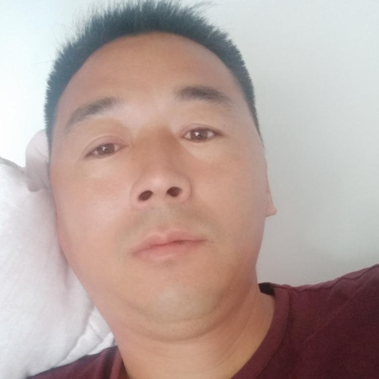 風(fēng)風(fēng)隨動