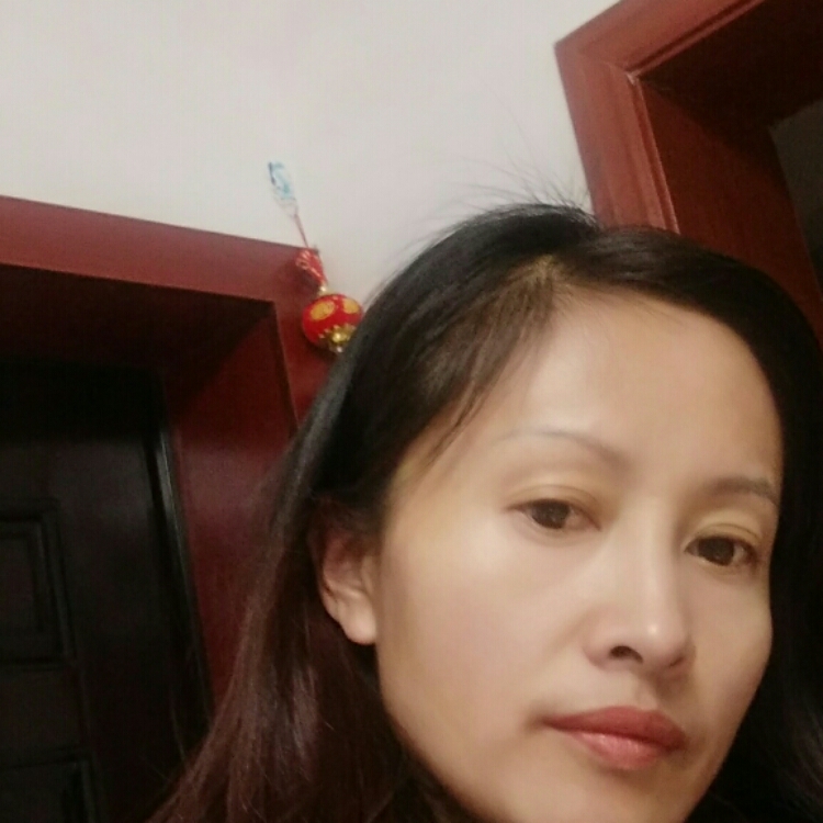 绿森林的fairy