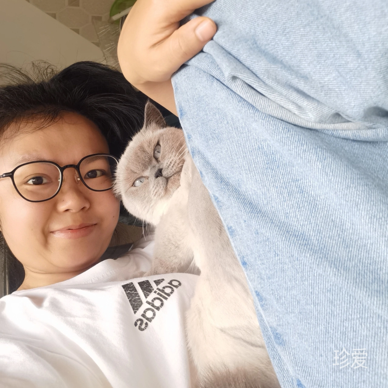 小虎牙