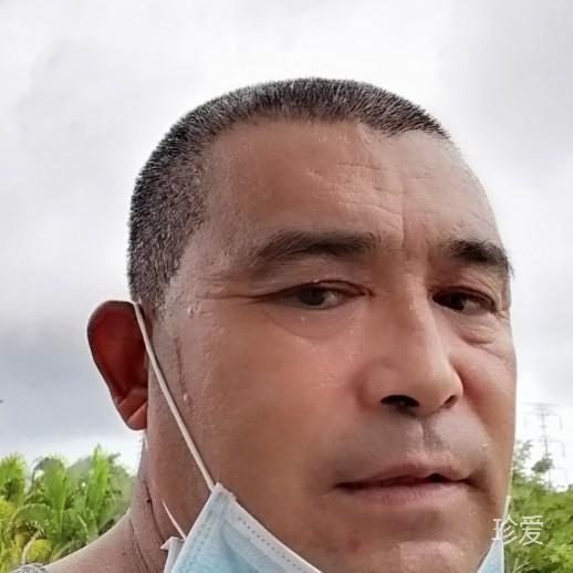 我是自由客