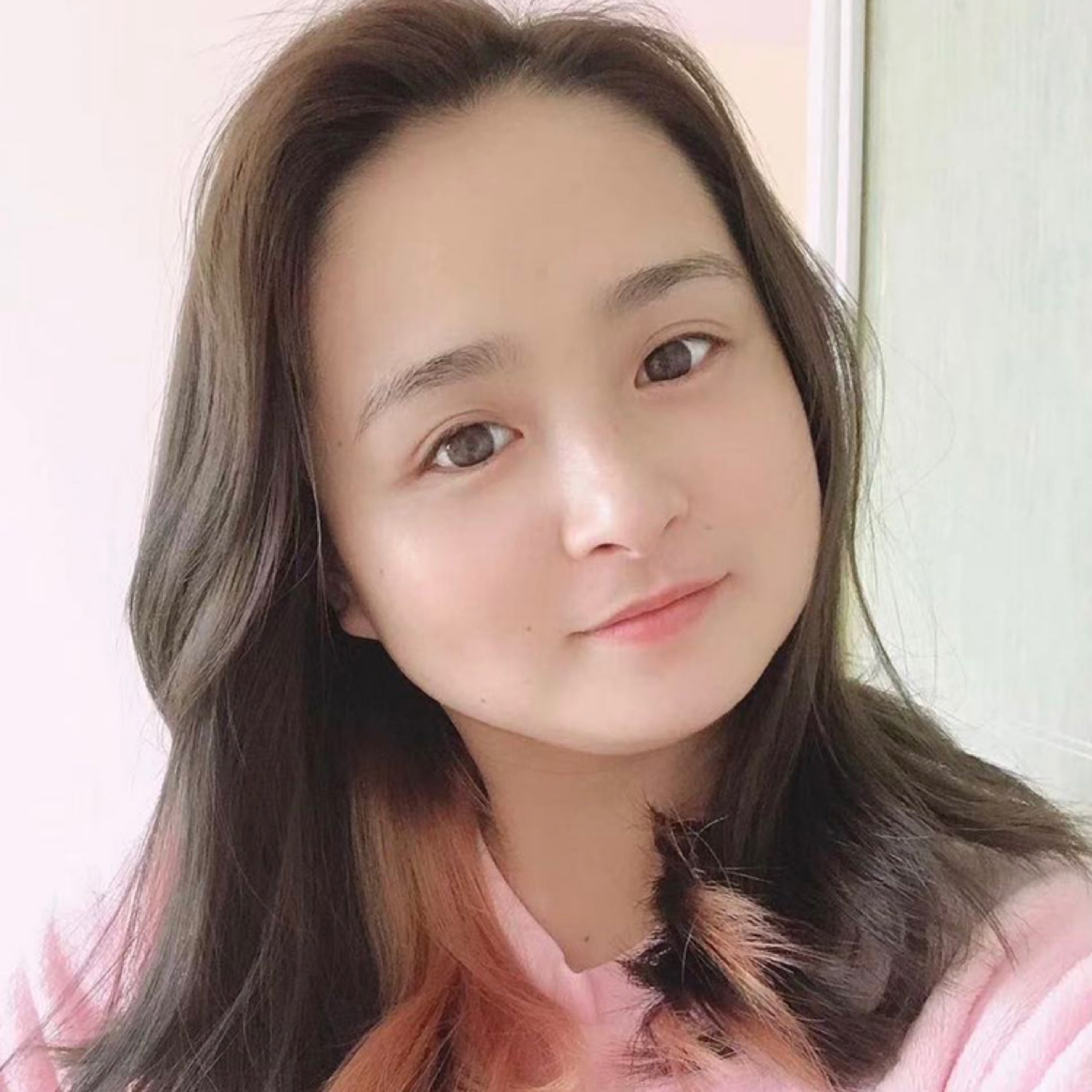 刺猬的小小梦想