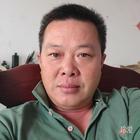 暢游的魚(yú)