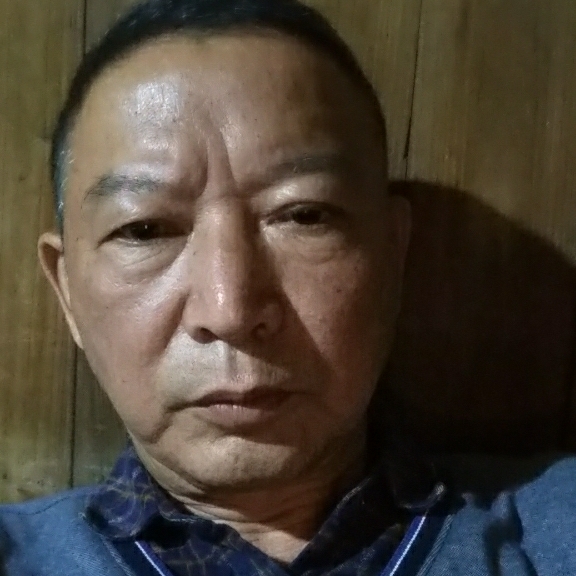 一匹正在老的马