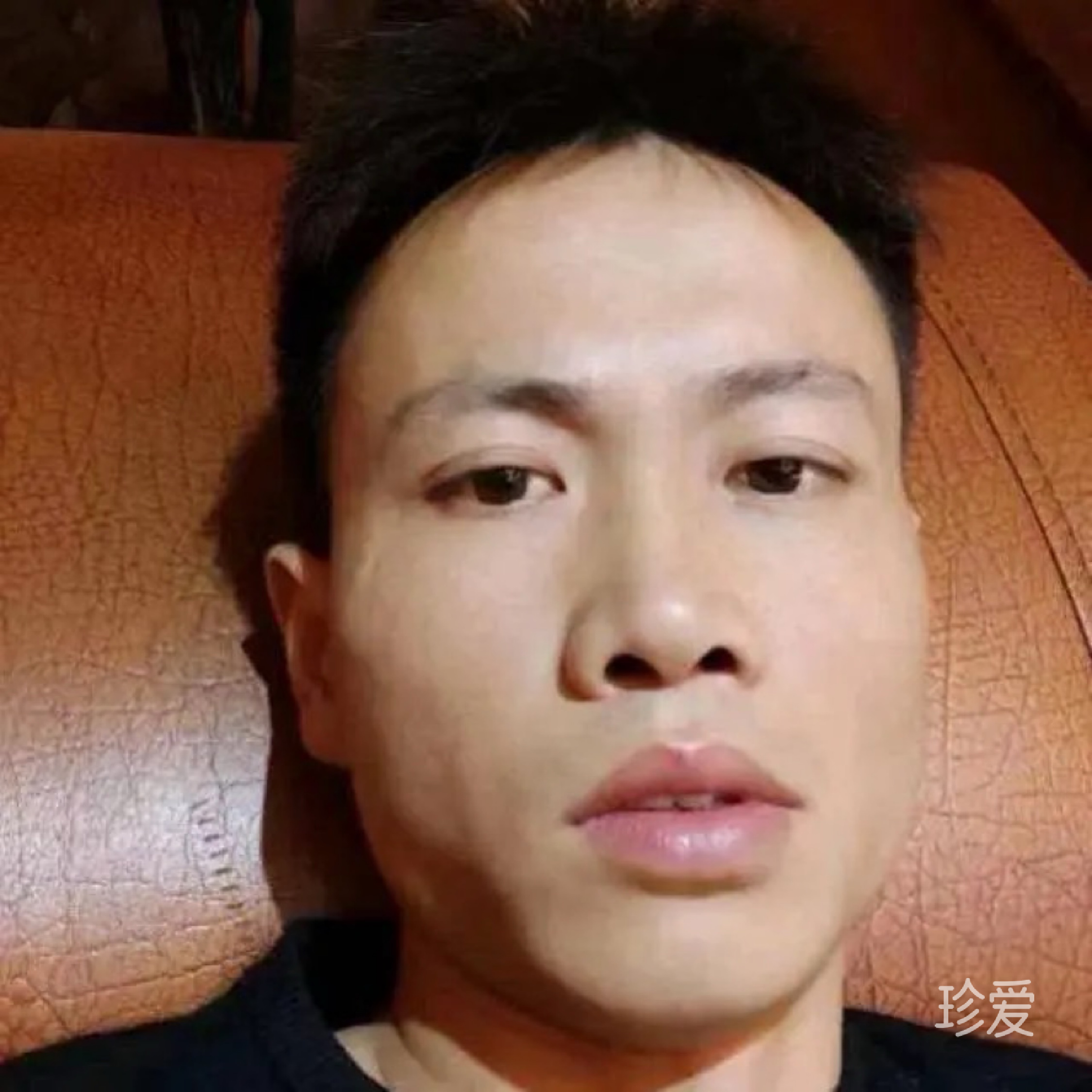 鸿雁