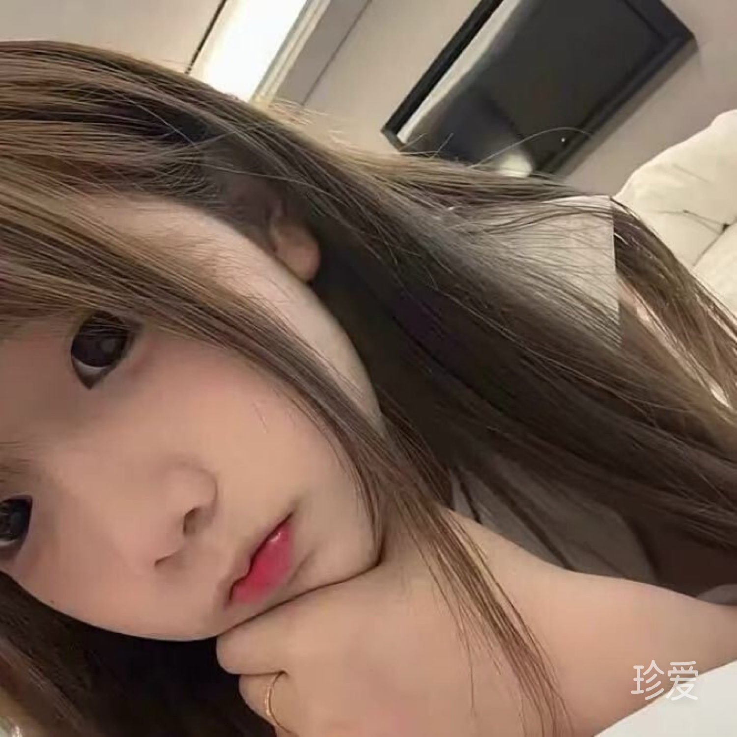 春天的玫瑰