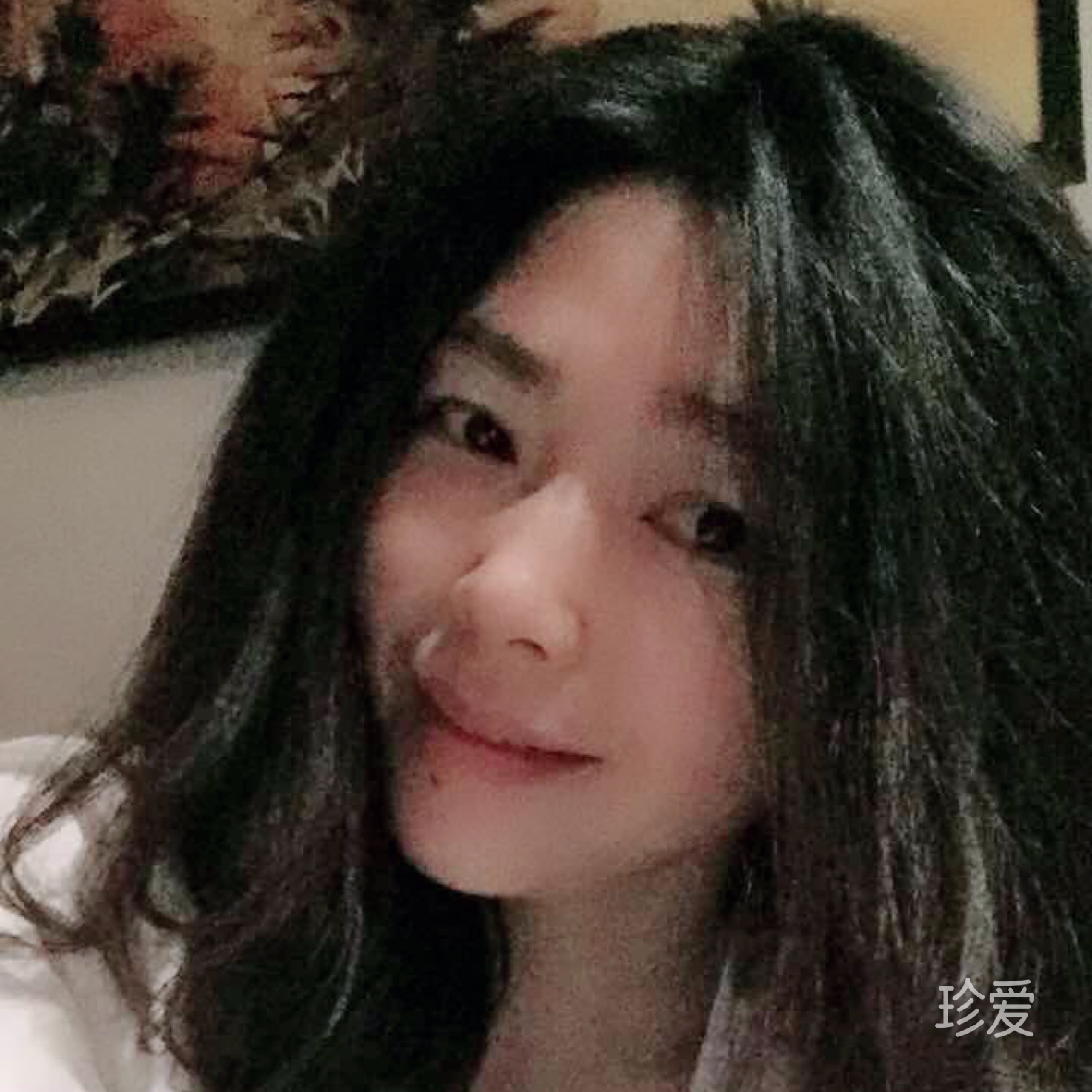 紫芯菲儿