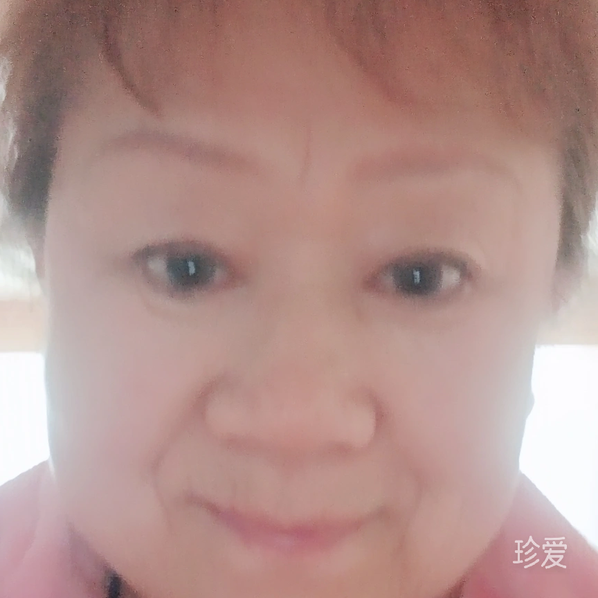 禅真