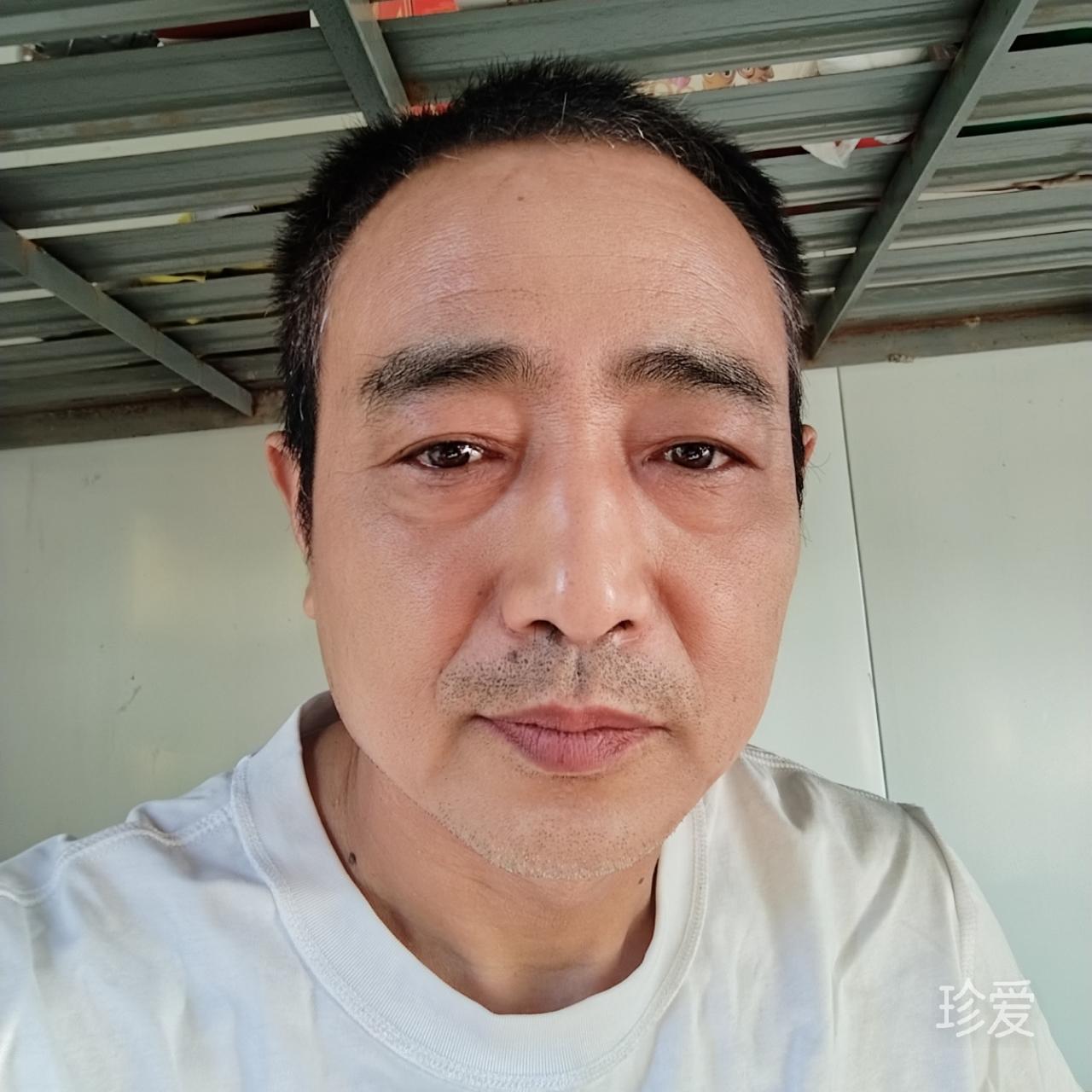 都市浮萍