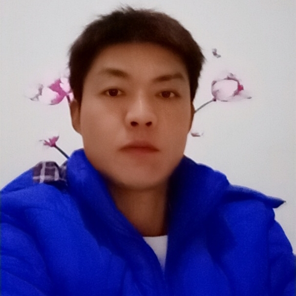 VIP孤獨(dú)的狼