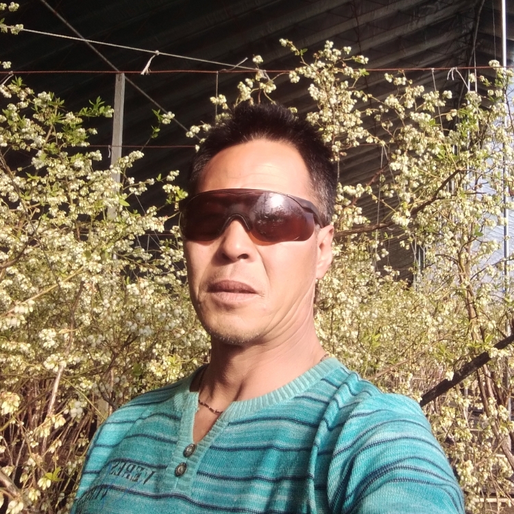 為你而來今生有你