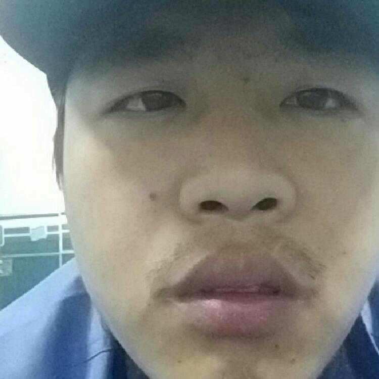 飛來(lái)愛(ài)情