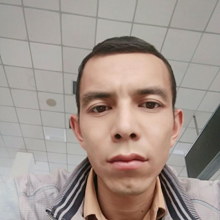 孤單北半球的人