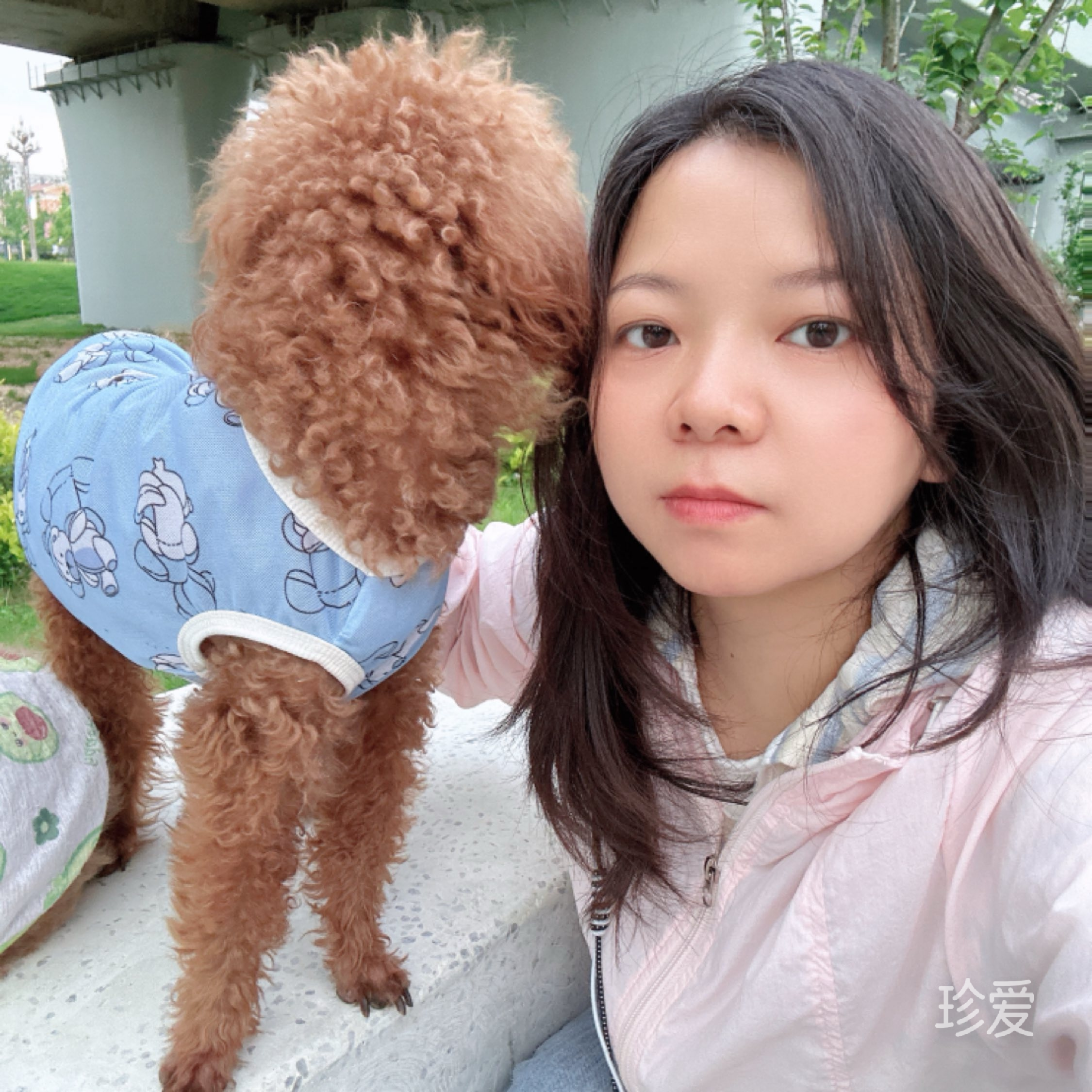 菲扬