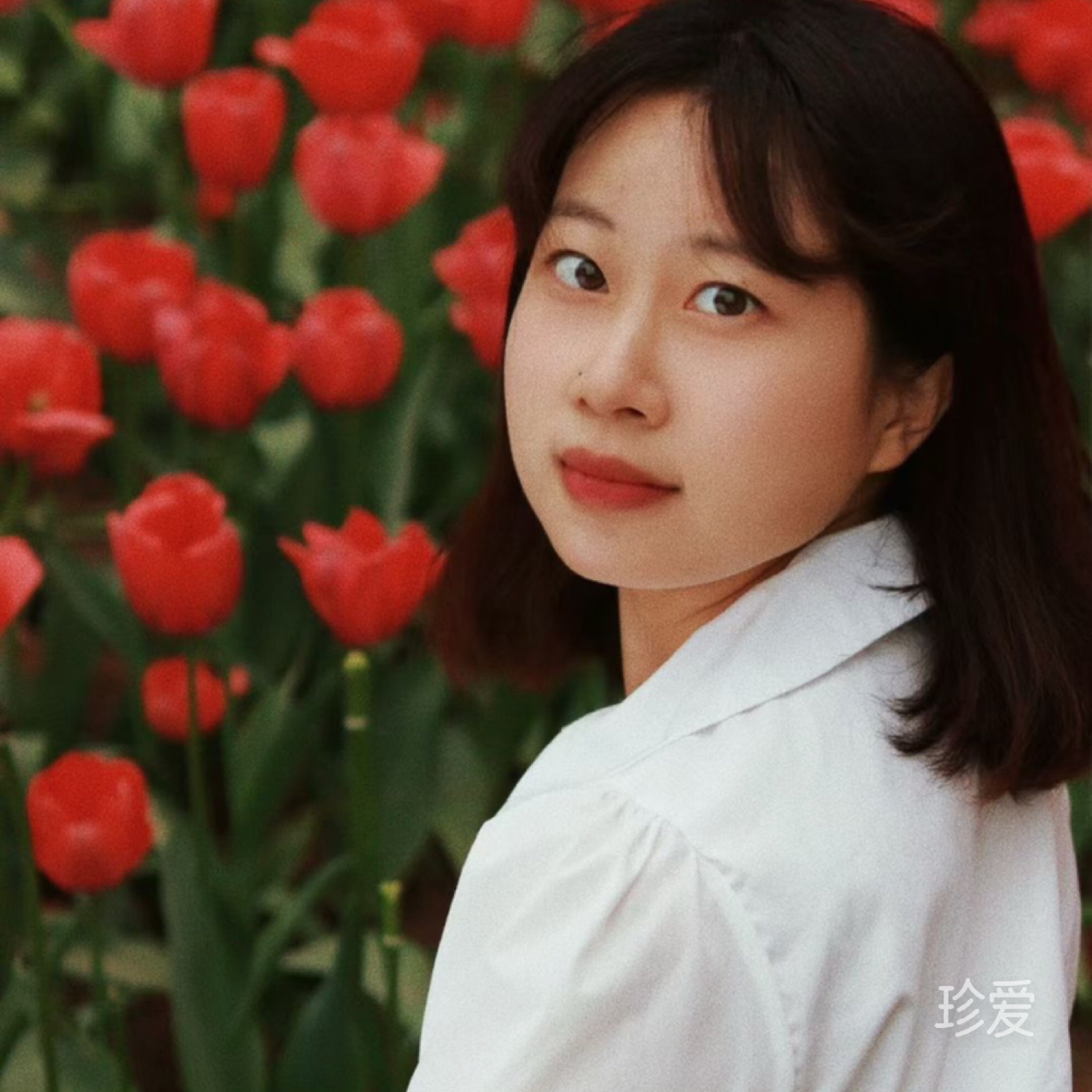 知煦