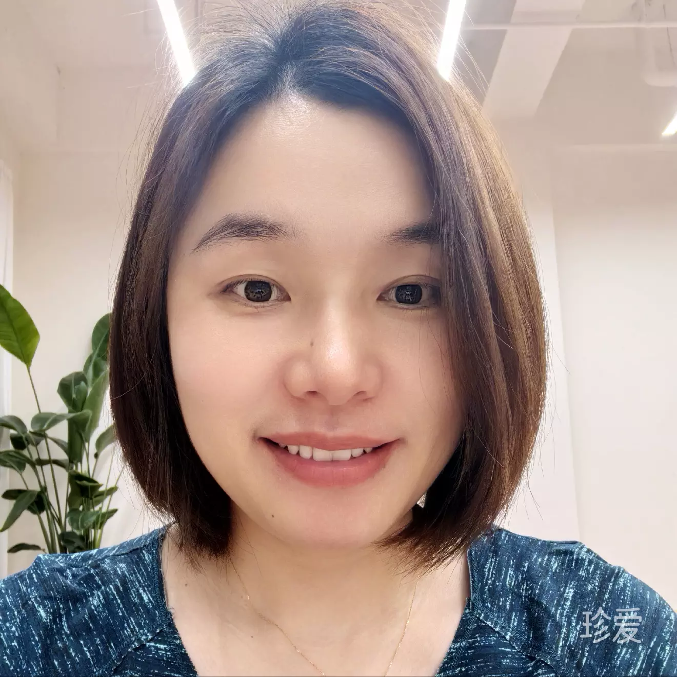 暗香无痕