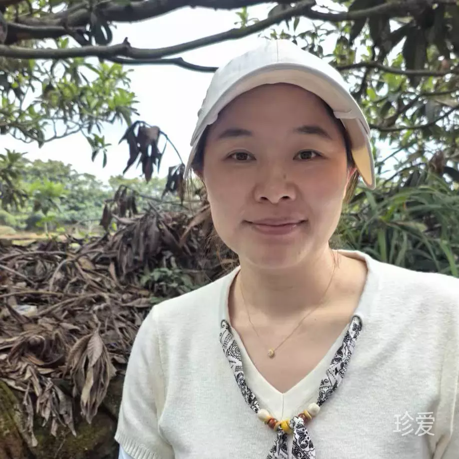 暗香无痕