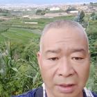 丁園