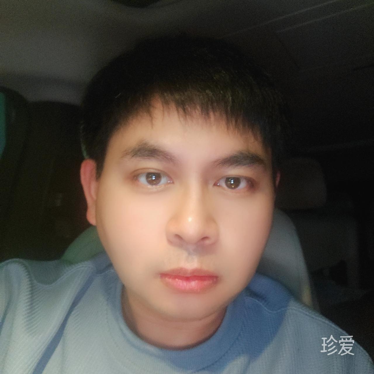 征婚不闲聊的猫