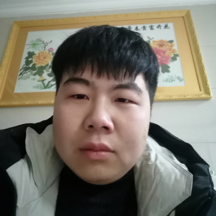 醉卧云端笑人间