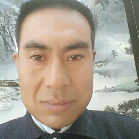 遲來(lái)的愛(ài)