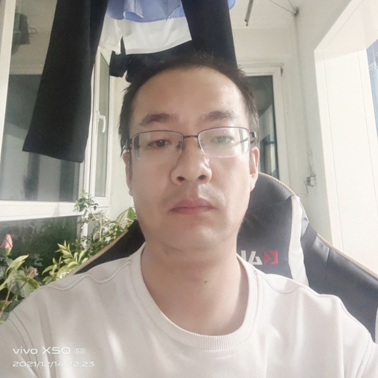 此去今年固執(zhí)己見