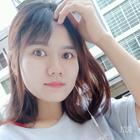 樹(shù)袋熊