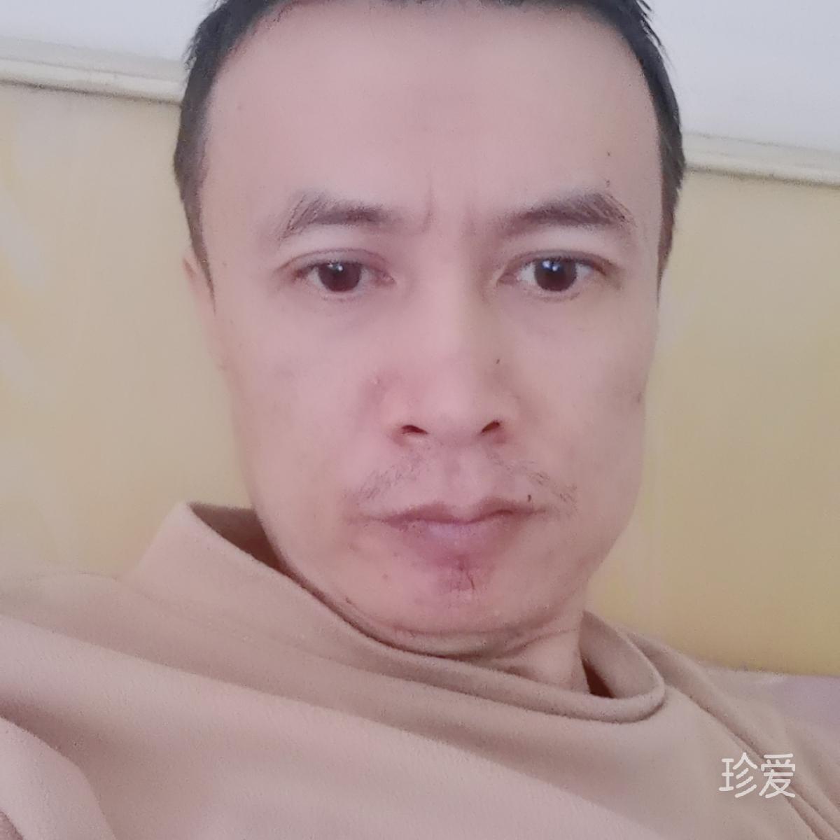 白桦