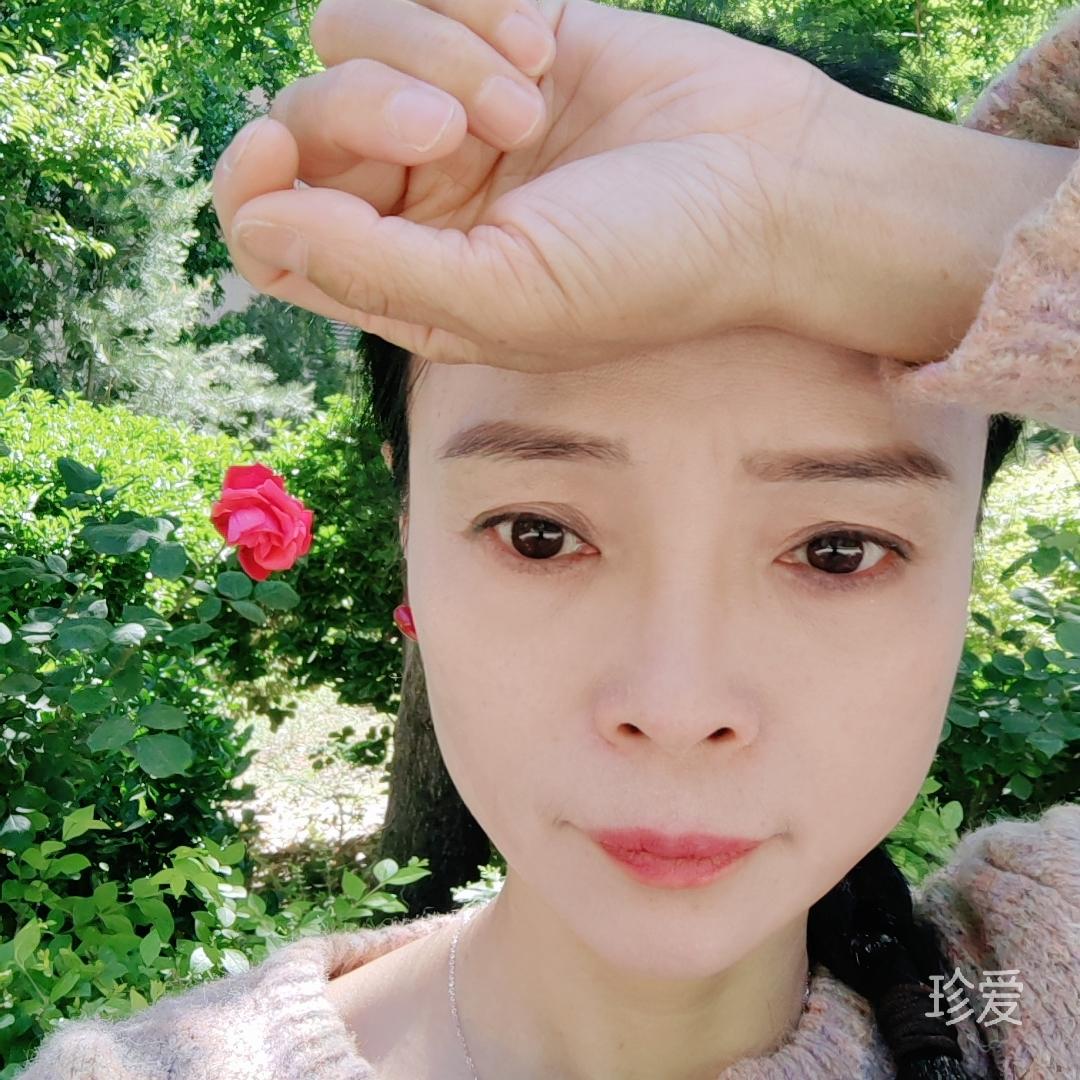 普洱茶