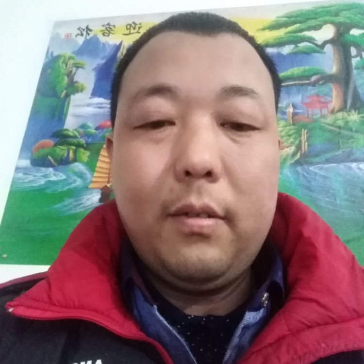 獨(dú)舞的楓葉