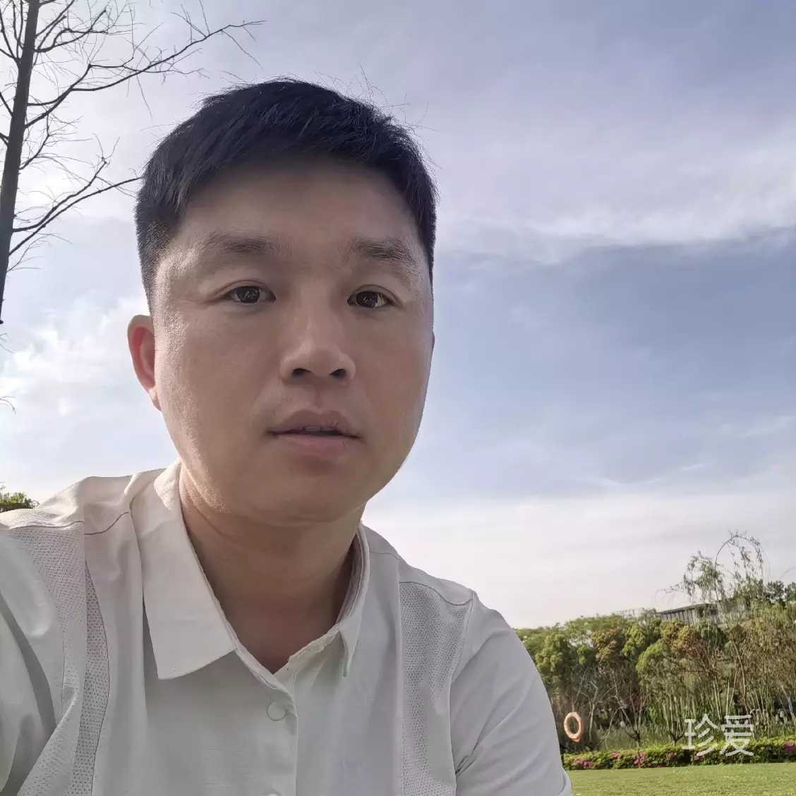 龙行天下