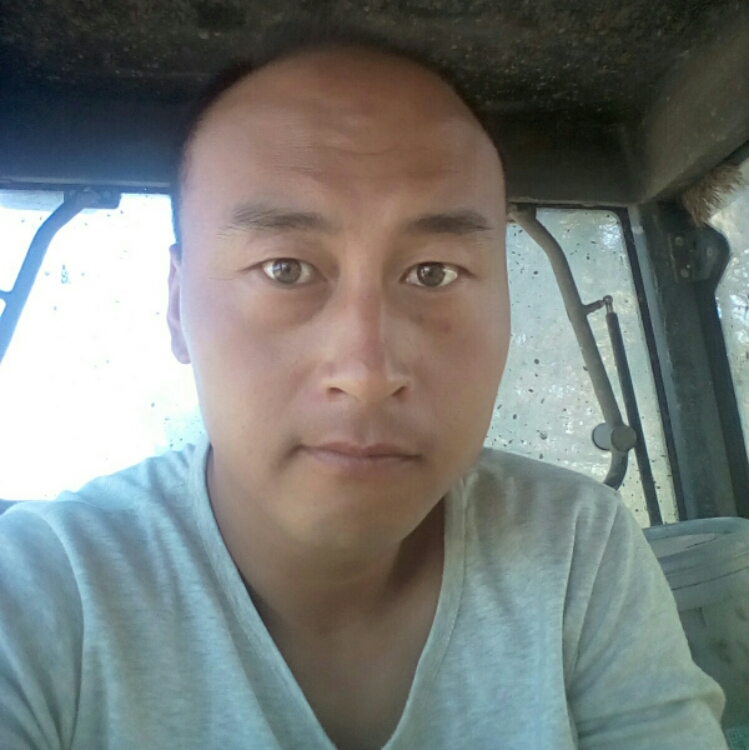 给点阳光就灿烂