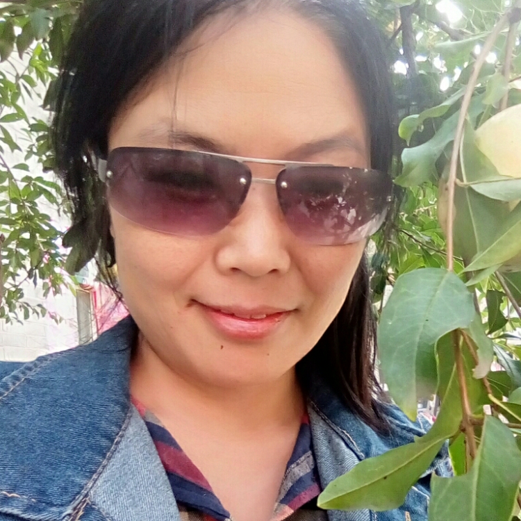 QQ抓不住的鱼儿